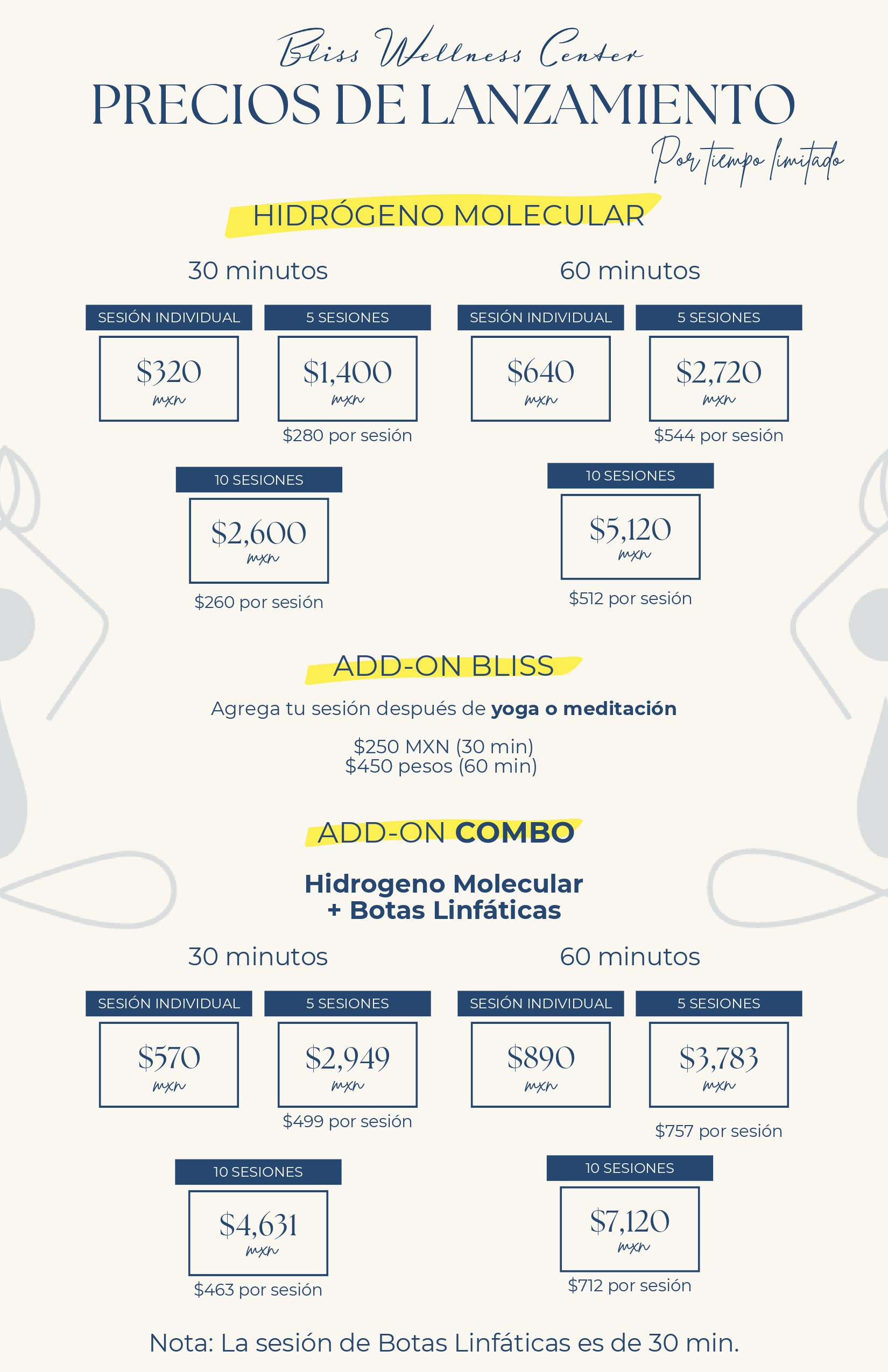 Hidrogeno molecular (1)_page-0002